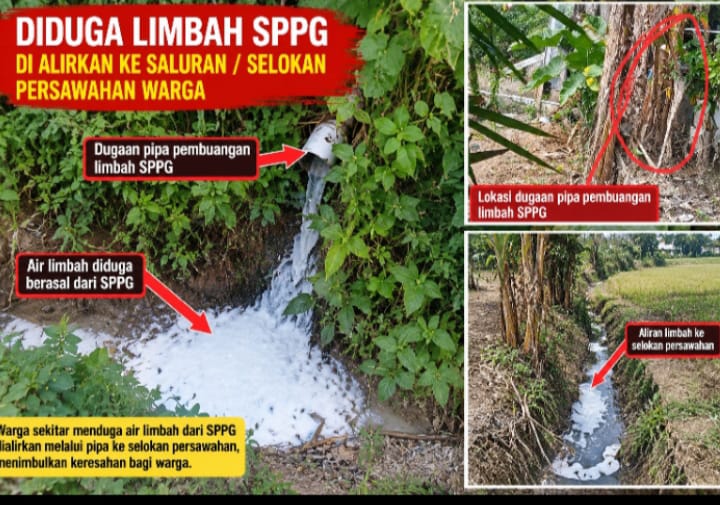 BUSA PUTIH MUNCUL DI SALURAN SAWAH CILAWU, DUGAAN LIMBAH SPPG KARYA MEKAR 1 DIMINTA DISELIDIKI